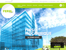 Tablet Screenshot of fersil-mz.com